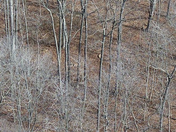 4th image of 0 Buckeye Hills Rd