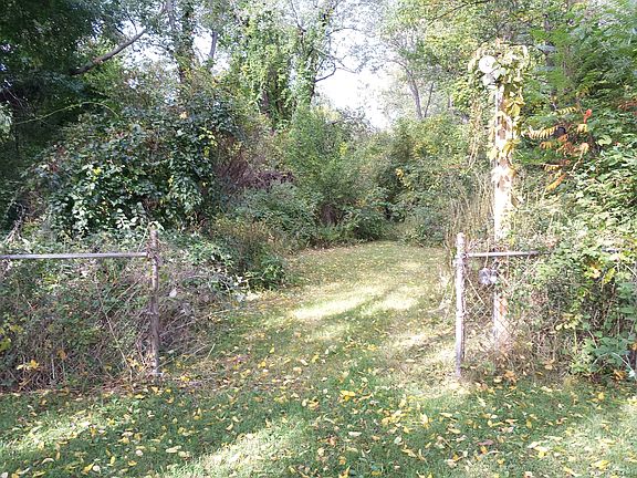 Your own forest to explore.