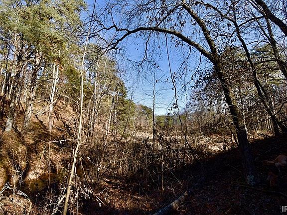 5th image of 0 Ebenezer Rd