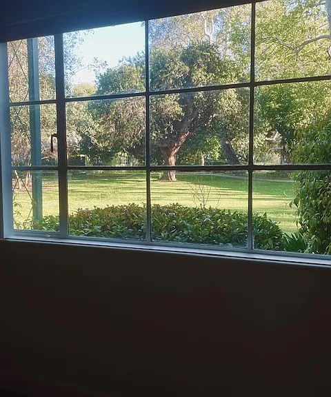 Serene park view from living room window