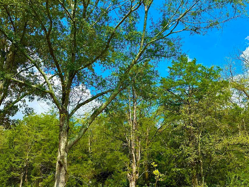 2nd image of 158 Lyons Rd