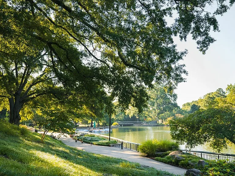 Raleigh Local Area