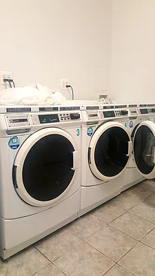 Rented by Fiddler Realty | media 38