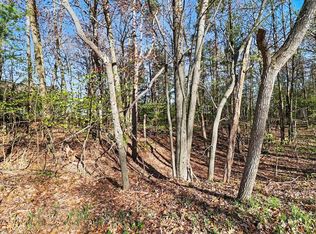 LOT 11 N Silver Ridge Rd, Mears, MI 49436