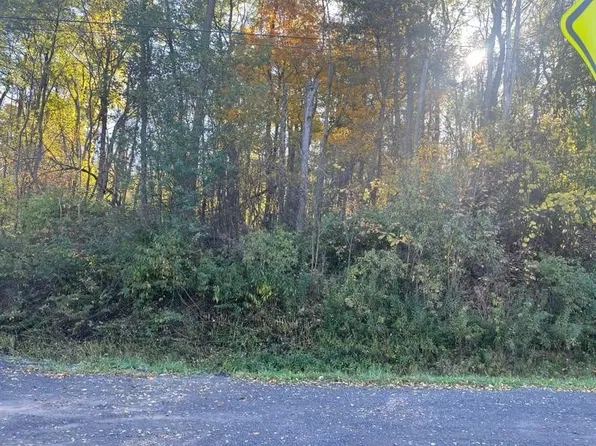 Wheaton Hill Rd Lot 78, Springwater, NY 14560