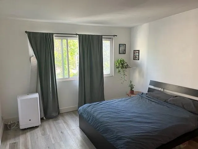 2 bed, 1092 sqft, $3,650 — Photo 3