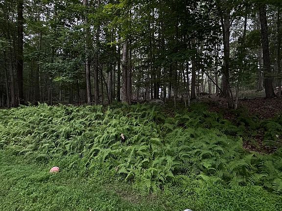 4th image of 22 Cove Point Cir
