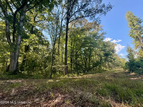 Cooper Rd, Camden, MS 39045