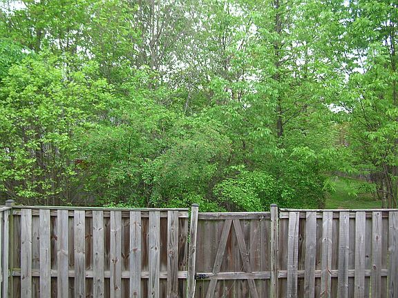 View from backyard