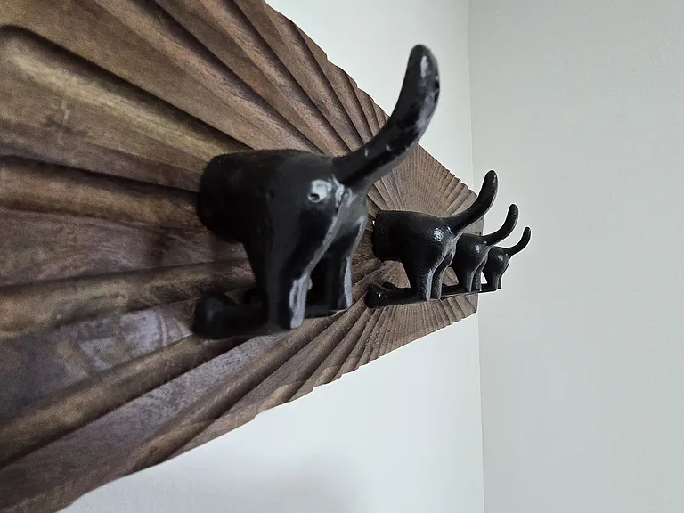 Hook for hanging coats or dog leashes in the breezeway. (Dog tails)