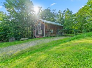 17447 McCormick Run Rd, Salineville, OH 43945