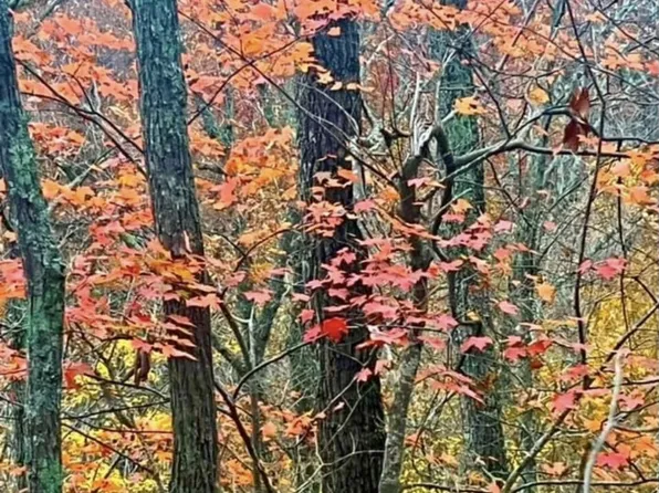 333 Kc Ln, Altamont, TN 37301