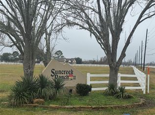 17218 Lucky Horse Dr, Rosharon, TX 77583