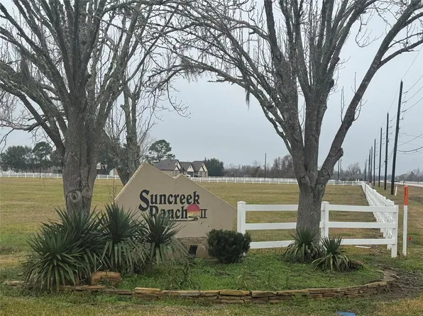 17218 Lucky Horse Dr, Rosharon, TX 77583