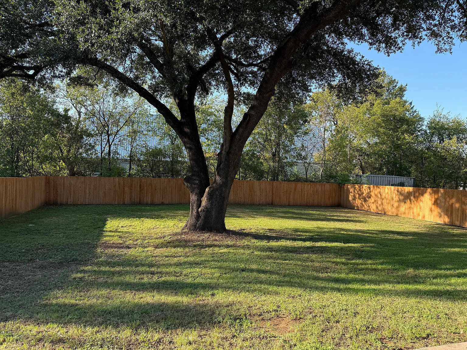3 bed, 1500 sqft, $1,850 — Photo 3