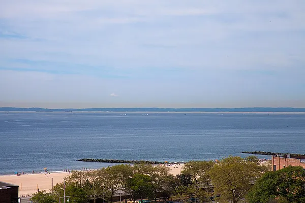 Rented by Bold New York | media 17