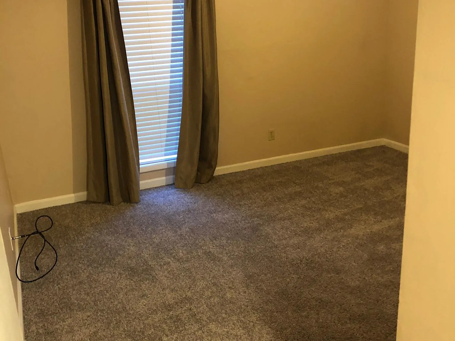 1 bed, 800 sqft, $1,450 — Photo 3