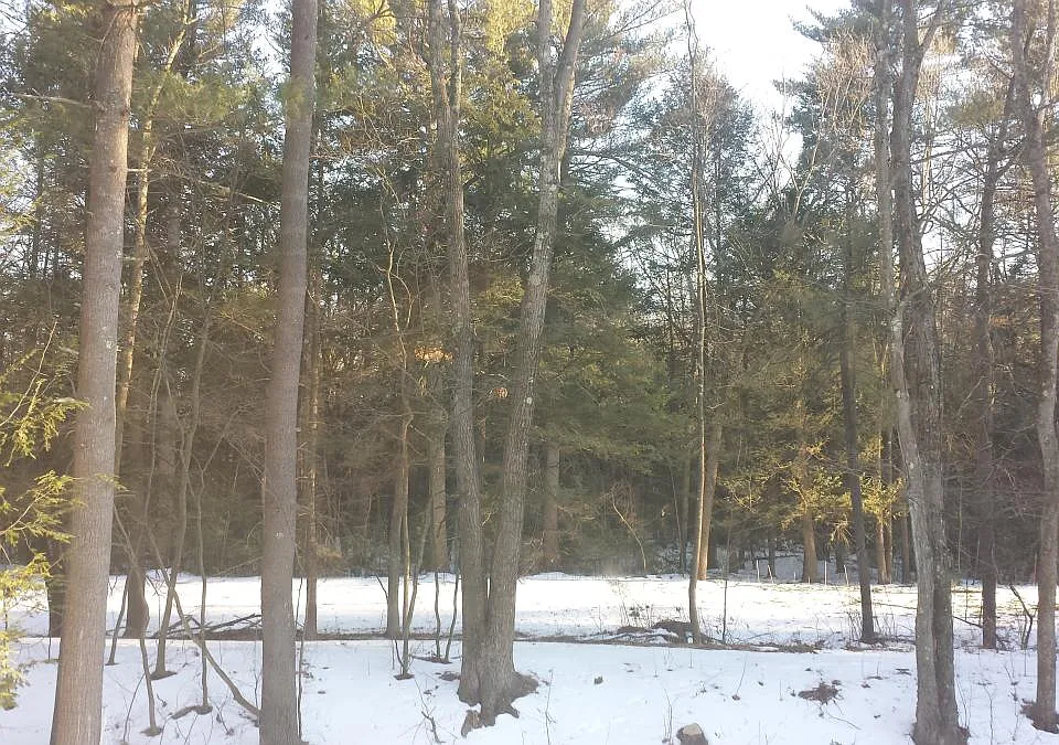 outside in snow