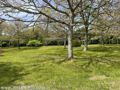 9 Marthas Way, Edgartown, MA, 02539