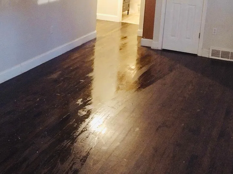 430 N Oakland Ave — Photo 7