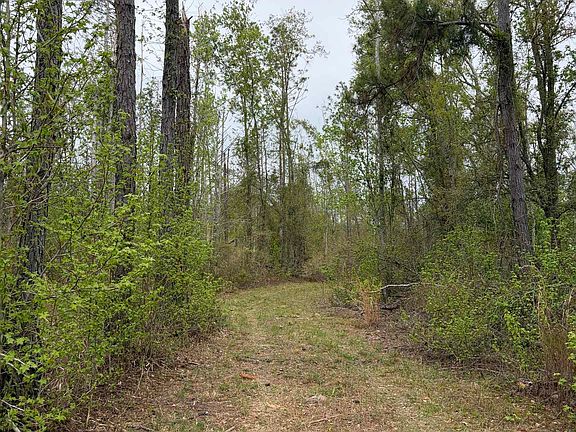 5th image of 870 SW San Pedro Rd