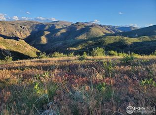 232 Red Mountain Ct, Livermore, CO 80536