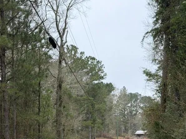 71 Thomas Ed Rustin Rd, Laurel, MS 39443