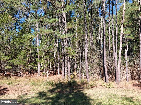 2nd image of 27360 Oriole Rd