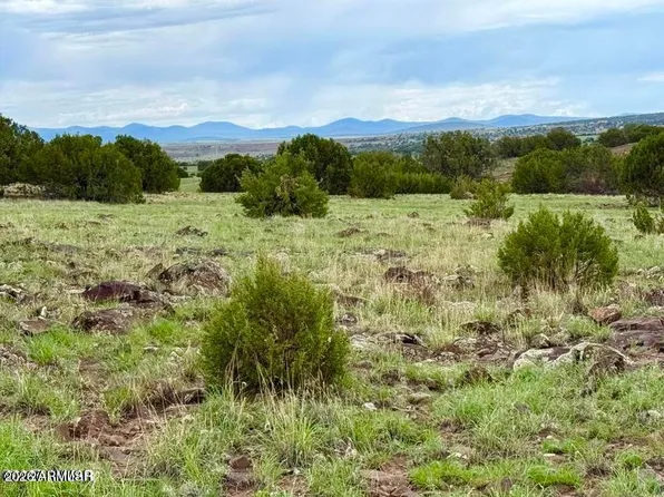 85 Co Rd 8128 Lots 100, 101 & 108 3.33 -- #-, Concho, AZ 85924