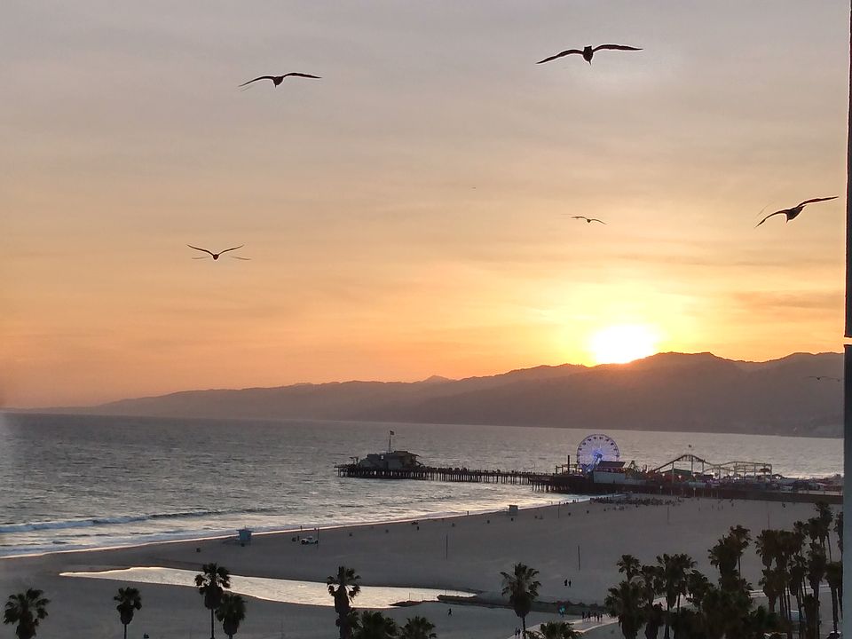 Come live in Santa Monica
