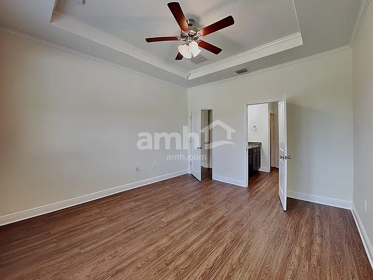 1367 Celery Palm Cv — Photo 14