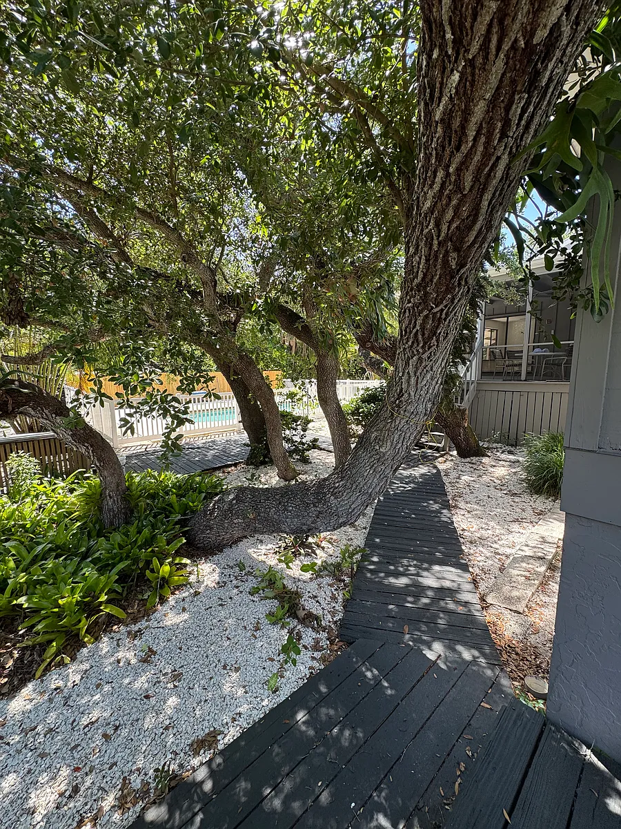 Building Photo - 753 Tropical Cir