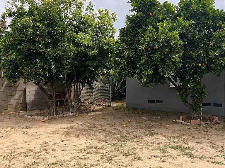 6607 Aura Ave — Photo 21