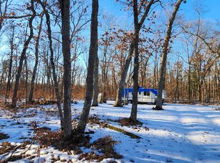 E Koenig Rd, Free Soil, MI 49411