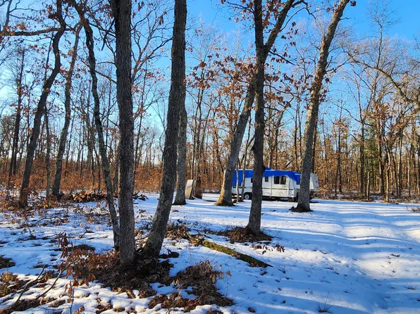 E Koenig Rd, Free Soil, MI 49411