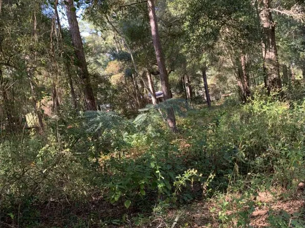 5 SE Wild Turkey Rd Lot A, Branford, FL 32008