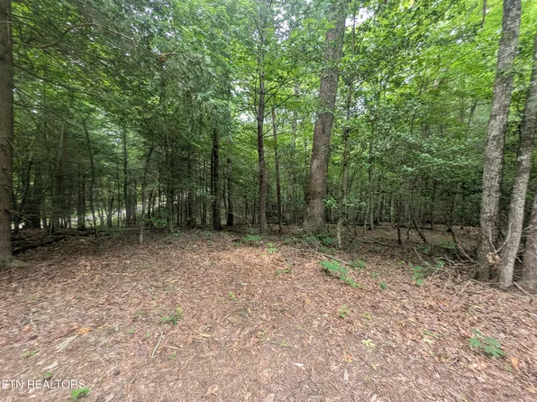 Model Farm Rd, Jamestown, TN 38556