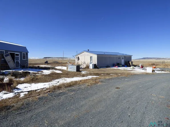 10 Capulin Ave, Capulin, NM 88414