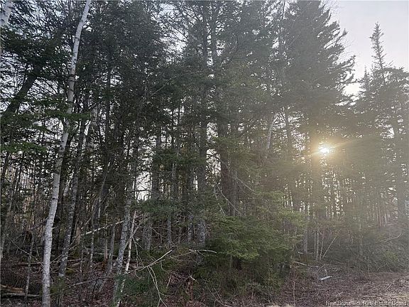 4th image of McKay Loop Rd