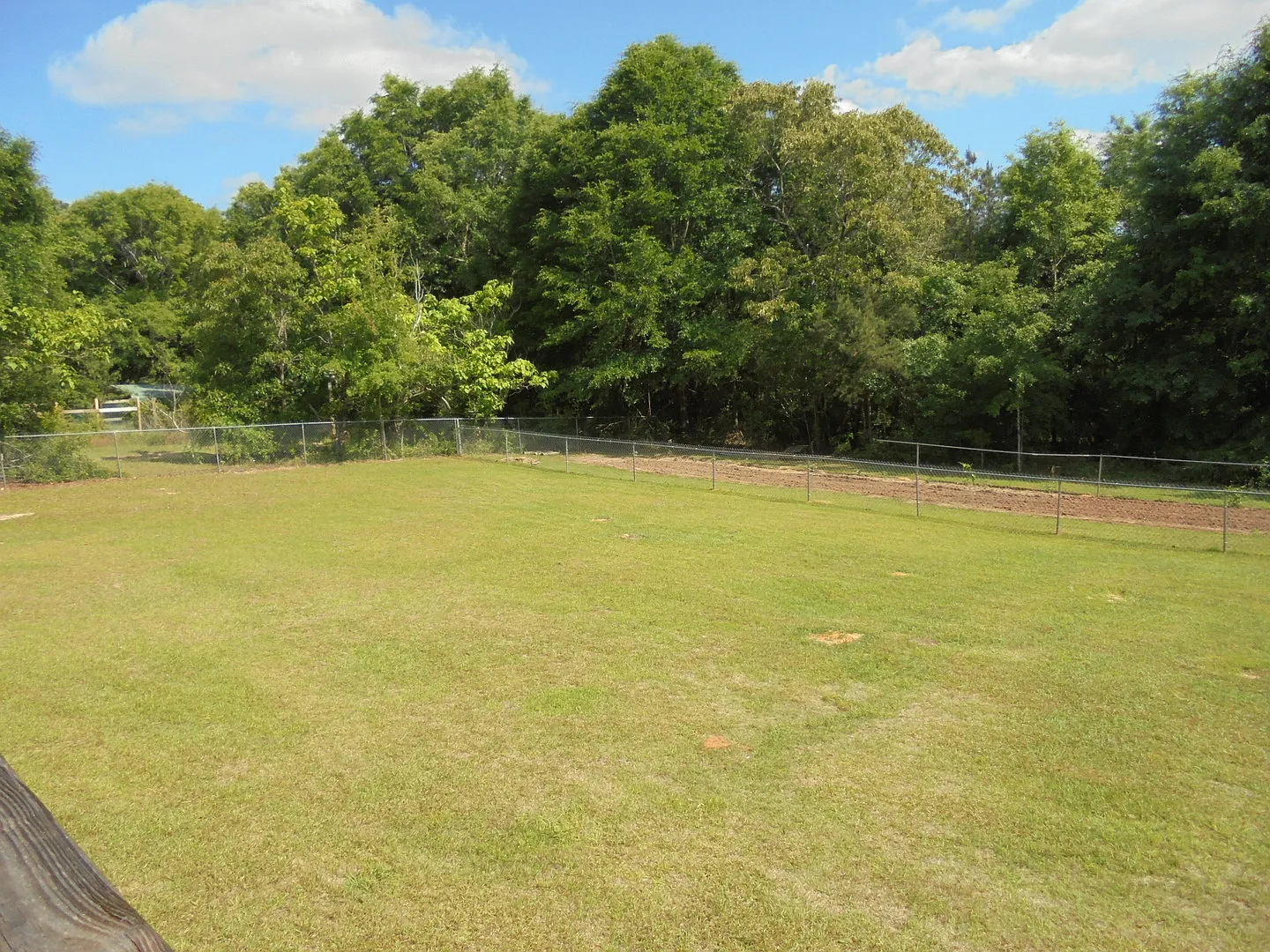 533 County Road 255, New Brockton, AL — Photo 2