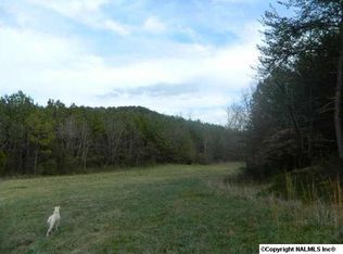 2514 County Road 512, Valley Head, AL 35989