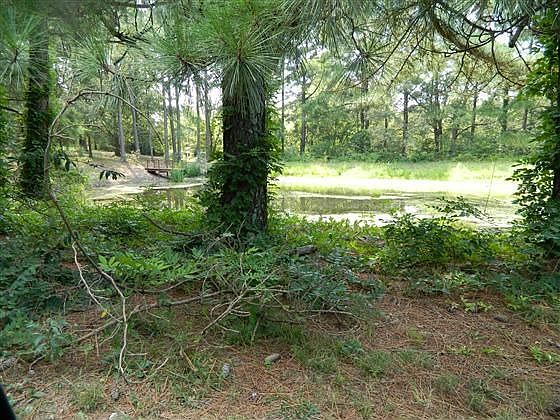 1st image of 155 West Dr