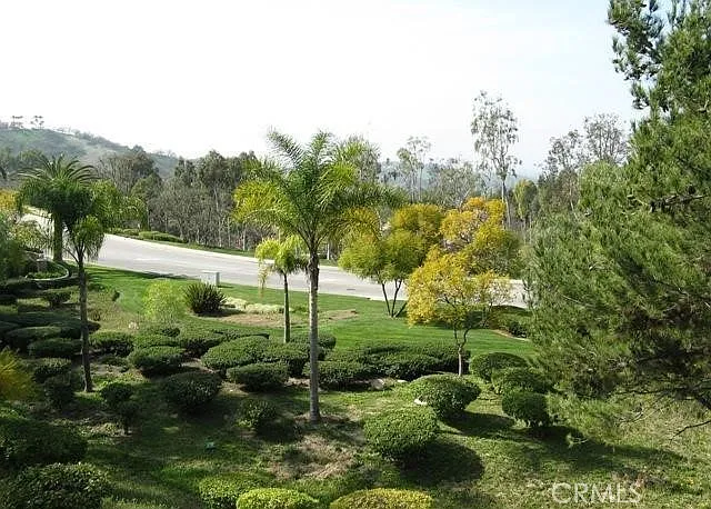 2087 Paseo Ambar — Photo 10