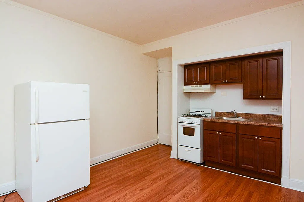 Remarkable Studio, 1 Bath at Diversey + Milwaukee (Logan Square) — Photo 3