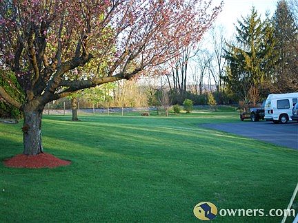 Front side yard