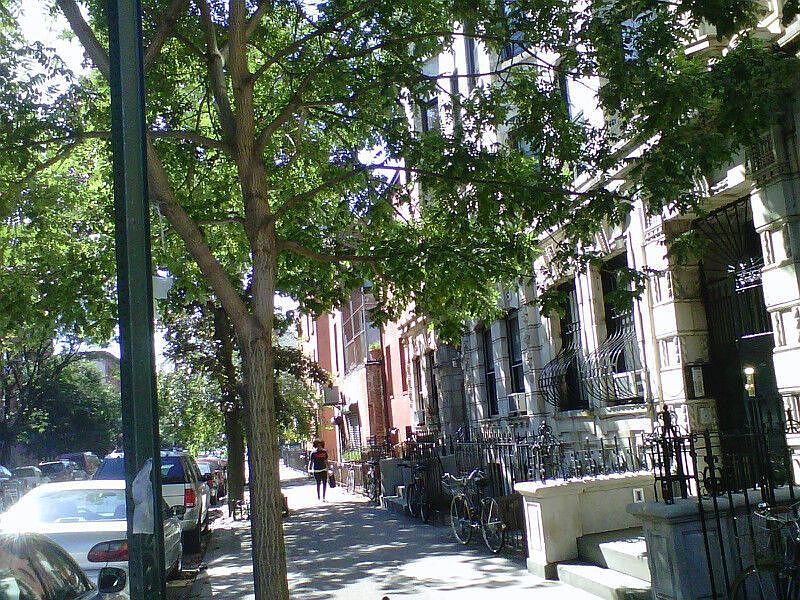 1st image of 234 Saint James Pl #11