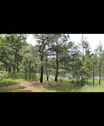 5th image of 0 North Pr Lot 52
