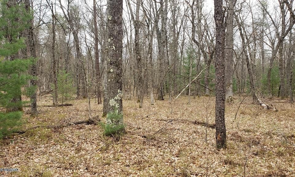 2nd image of 5531 W Us Highway 10
