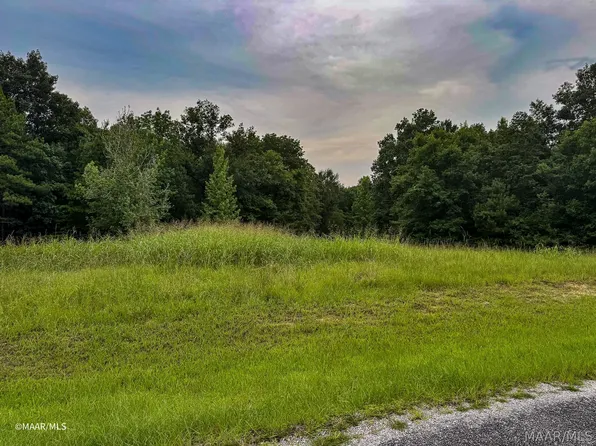 48 Legacy Shrs, Alberta, AL 36720