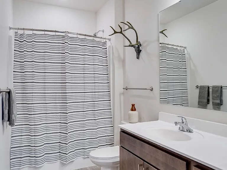 Flats Bathroom